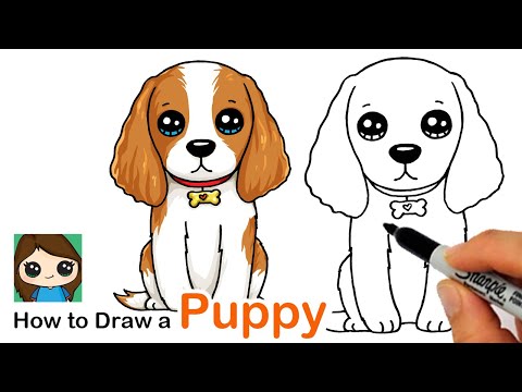 How to Draw a Cocker Spaniel Puppy Dog Easy