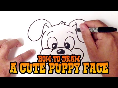How to Draw a Dog Face  Step by Step for Beginners