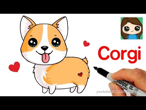 How to Draw a Corgi Easy  Cartoon Dog