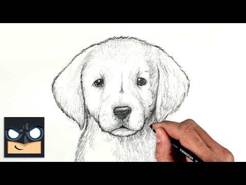 How To Draw a DOG  GOLDEN LAB PUPPY  Sketch Saturday
