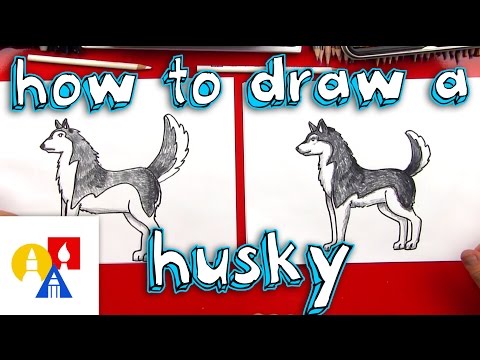 How To Draw A Husky