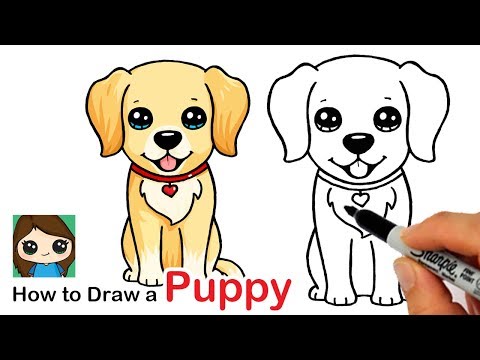 How to Draw a Labrador  Golden Retriever Puppy Easy