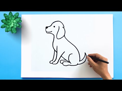 How to Draw a Dog Step by Step 