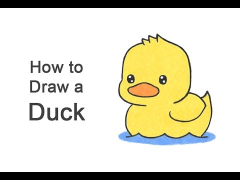 How to Draw a Duck Cartoon
