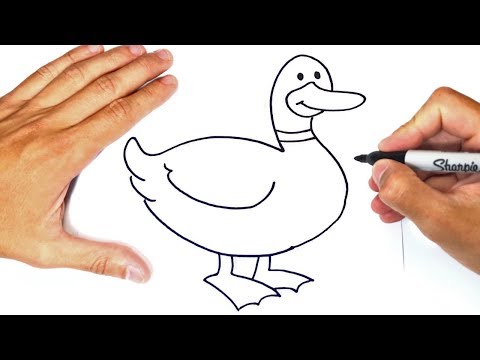 How to draw a Duck Step by Step  Duck Drawing Lesson