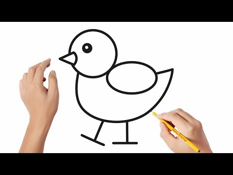 How to draw a duckling 2  Easy drawings