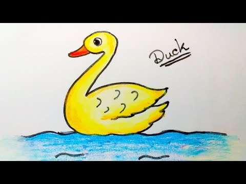 How To Draw Duck For Beginners  Duck Drawing Step By Step  Duck Drawing easy