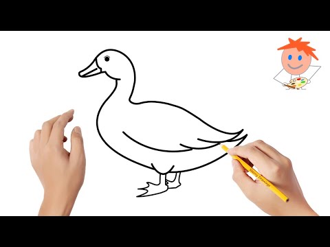 How to draw a duck  Easy drawings