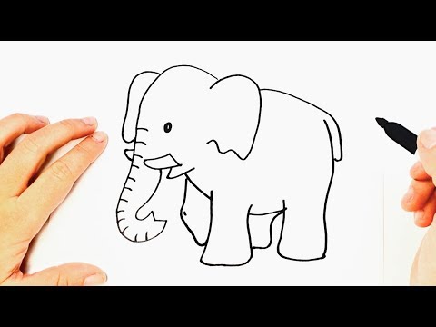 How to draw an Elephant Step by Step  Easy drawings