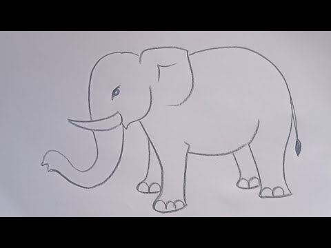 how to draw elephant drawing easy step by stepKids Drawing Talent