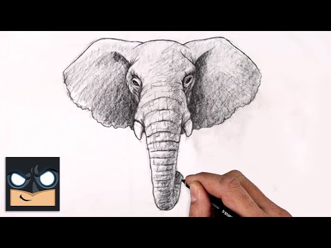 How To Draw an ELEPHANT  Sketch Saturday