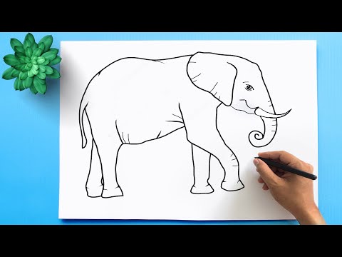 How to Draw an Elephant easy step by step 