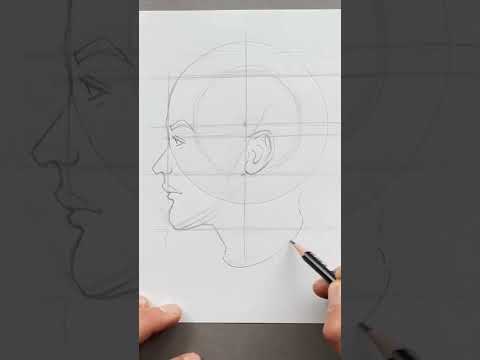 HOW TO DRAW Face Side View  Head Proportion Tutorial