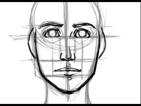 How to Draw a Face Basic Proportions