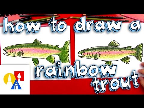 How To Draw A Rainbow Trout