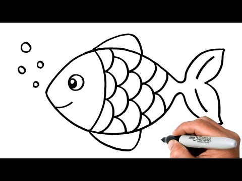 How to DRAW A FISH EASY Step by Step