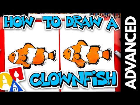How To Draw A Realistic Clownfish