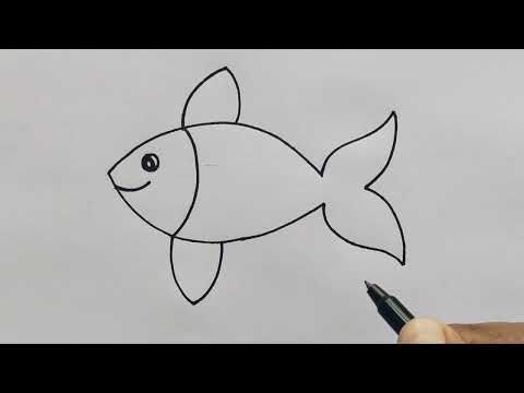 Fish Drawing Easy  how to draw fish from beginners