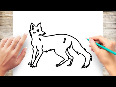 How to Draw Fox for Kids Step by Step Easy