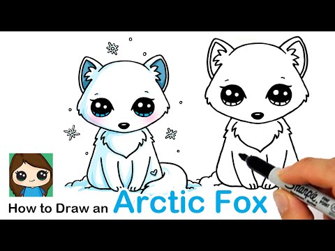 How to Draw an Arctic Fox Easy