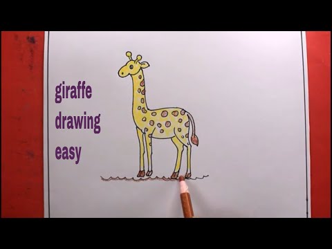 How TO Draw a giraffe easygiraffe drawing easy