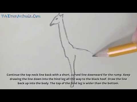 How to Draw a Giraffe In 9 EASY Steps  GREAT for Kids amp Beginners