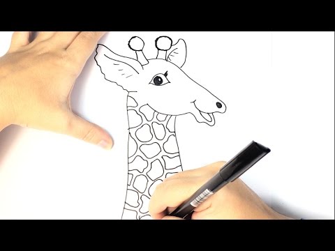 How to draw a Giraffe for Kids