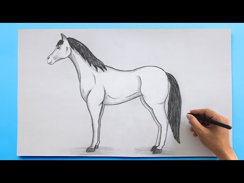 Easy Horse Drawing   How to draw a Horse