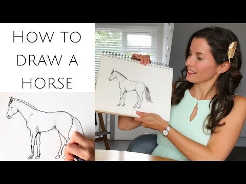 How to draw a horse standing for beginners
