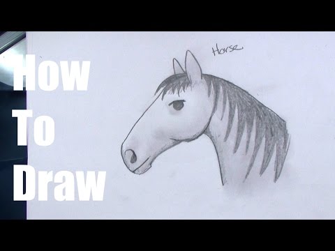 How To Draw a Horse For Kids Step By Step