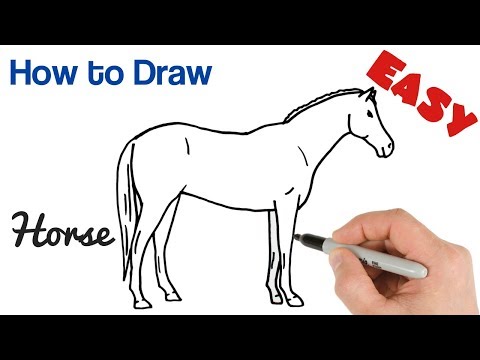 How to Draw a Horse Easy Step by Step Drawing