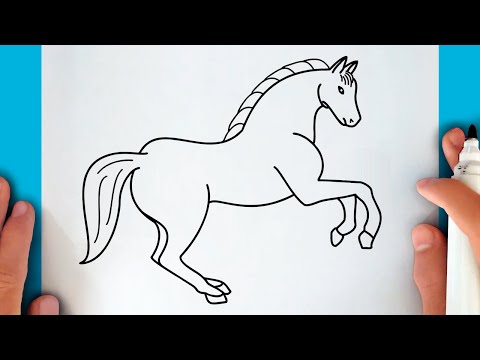 HOW TO DRAW A HORSE