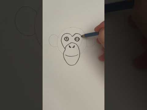 How to Draw a Chimpanzee Shorts