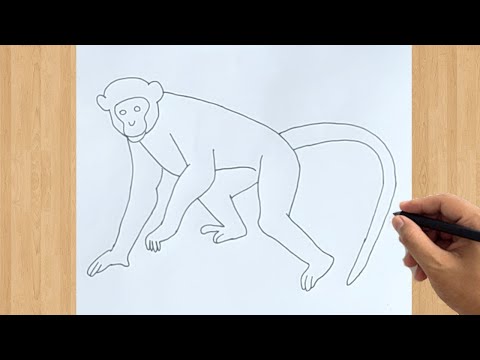 How to Draw a Monkey Easy Drawing Step by Step Tutorial For Beginners
