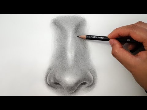 How to Draw a Nose  EASY