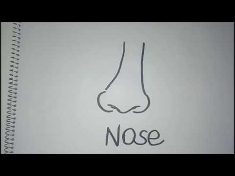 How to draw a nose for kids easy