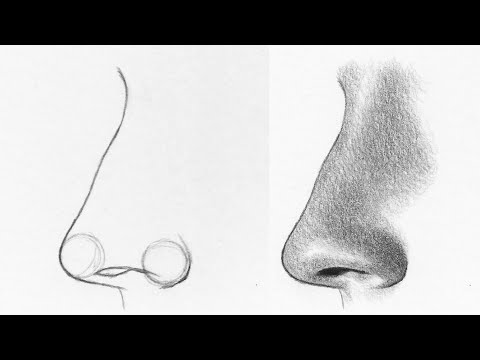 Como Dibujar Nariz de Lado How to  Draw a Nose