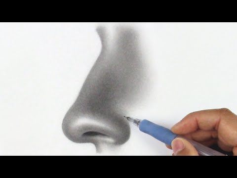 How to Draw a Nose From The Side