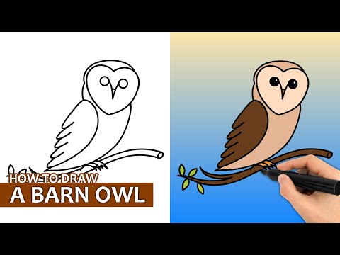 How To Draw A Barn Owl Easy Drawing Tutorial