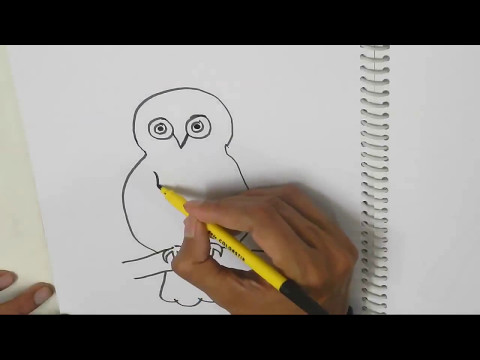 How to draw an Owl   in easy steps for children kids beginners
