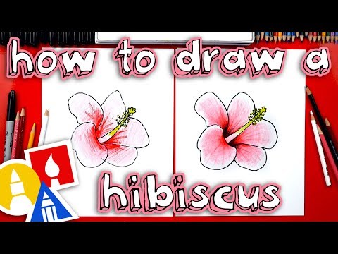 How To Draw A Hibiscus Flower 