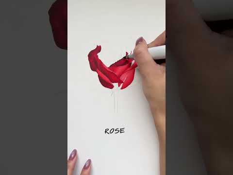 how to draw a rose with alcoholmarkers coloredpencils