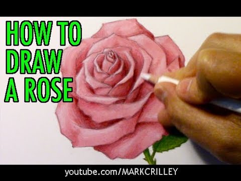 How to Draw a Rose and Add Color