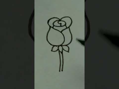 how to draw a rose flower shorts viral youtubeshorts