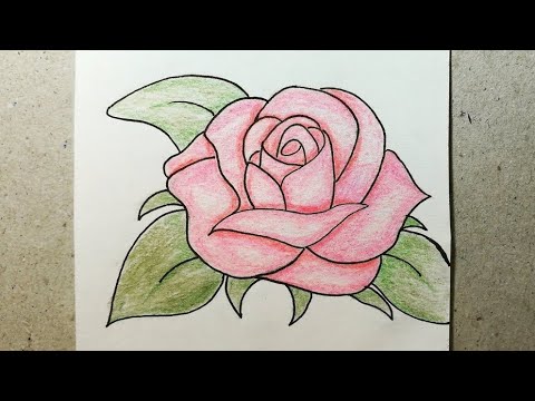 How To Draw A Rose stepbystep Slow Drawing Tutorial