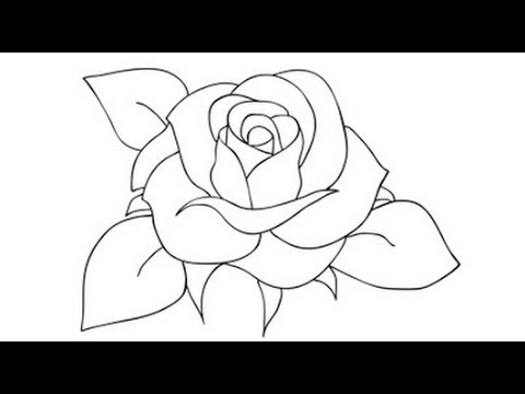 How to Draw a Rose Step by Step Video  Drawing Roses for Beginners  Draw a Rose for Kids