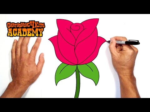 How to Draw a Rose Art for Beginners