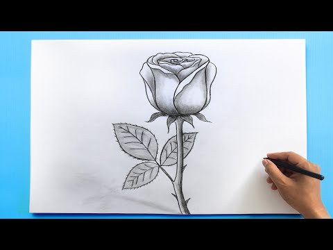 ROSE Drawing Easy  How to Draw a Rose step by step