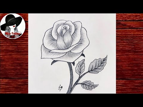 ROSE Drawing Easy  How to Draw a Rose step by step