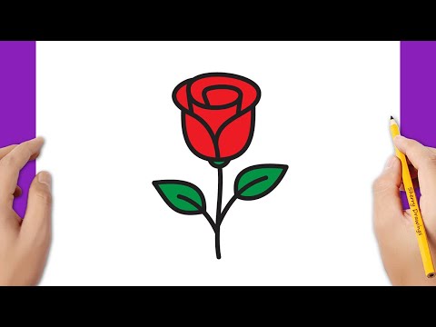 How to draw a rose easy